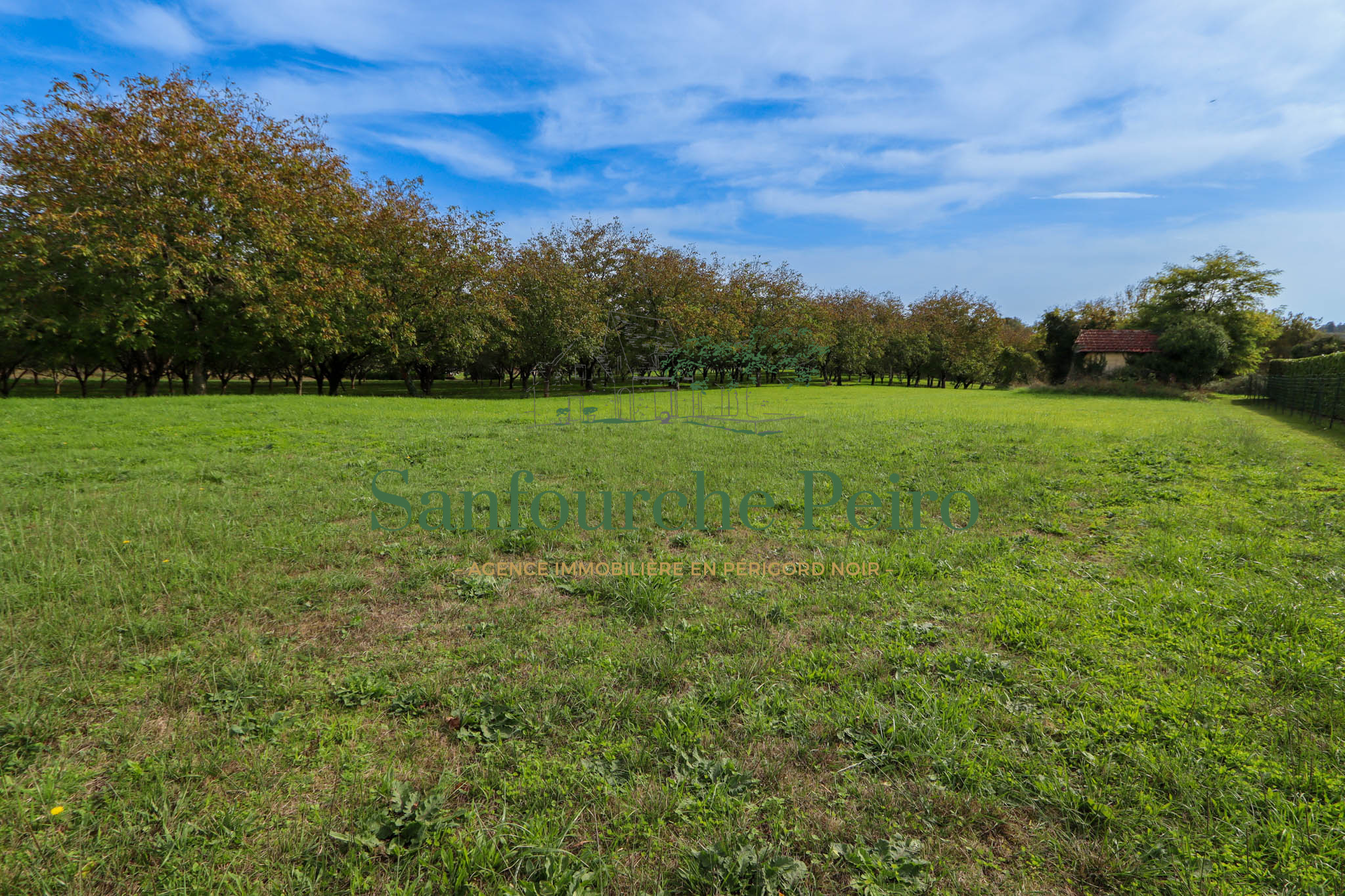 Terrain constructible à vendre à Salignac eyvigues, 4 008 m² – photo 1 sur 8