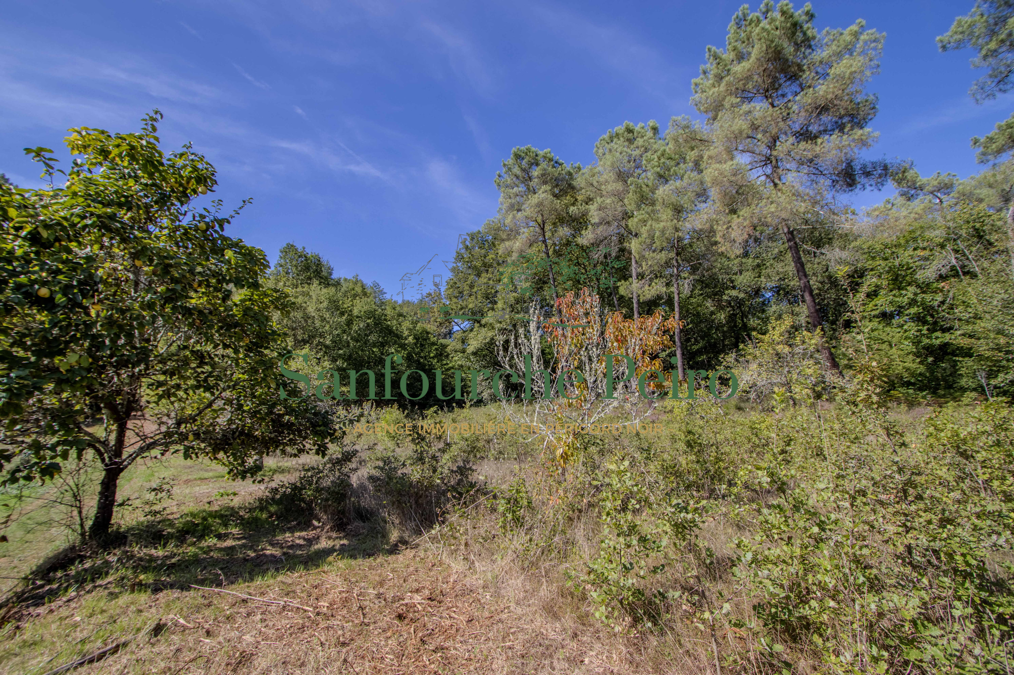 Terrain constructible à vendre à St vincent le paluel, 5 058 m² – photo 2 sur 9