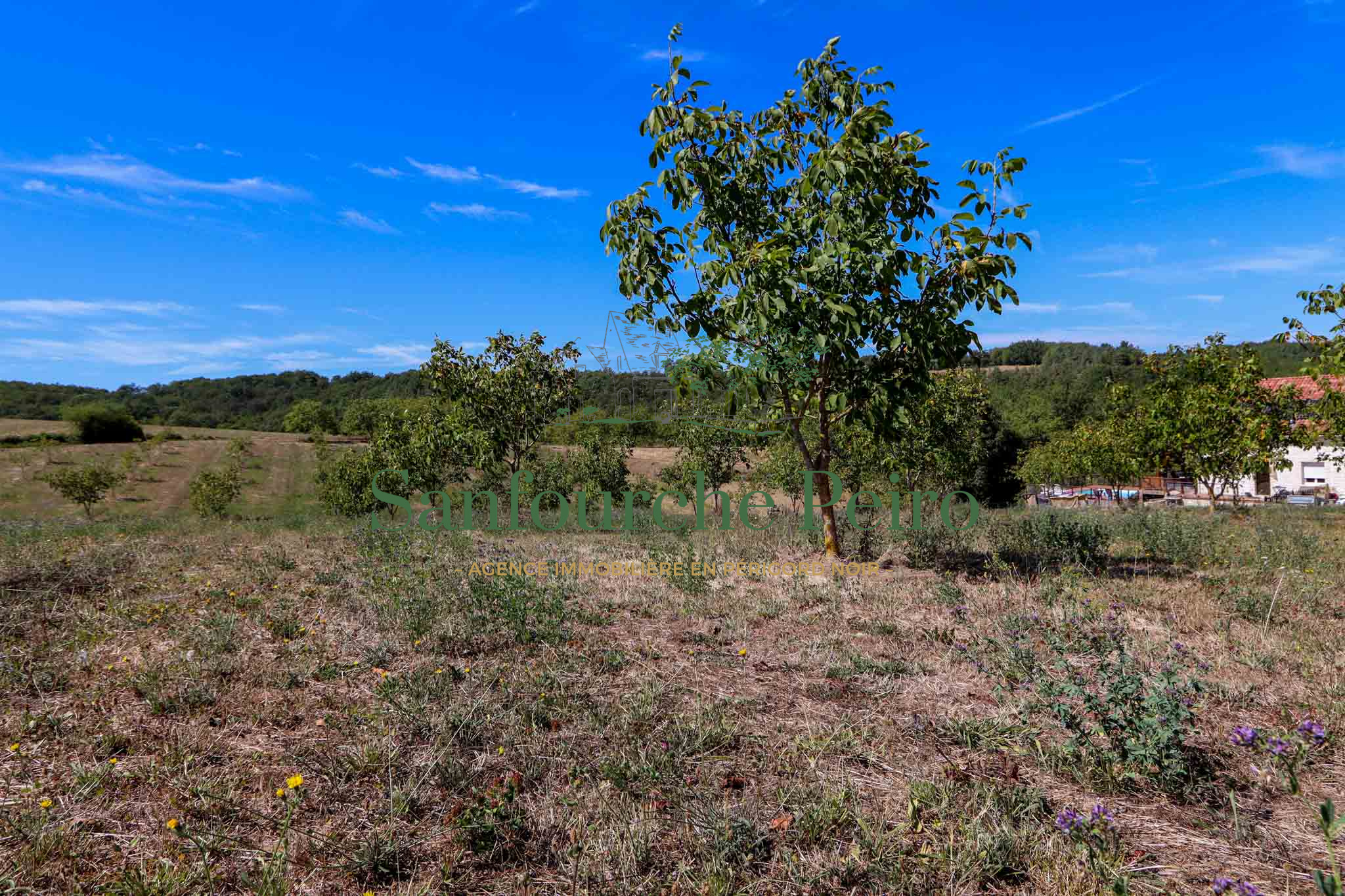 Terrain constructible à vendre à Sarlat la caneda, 3 593 m² – photo 1 sur 3