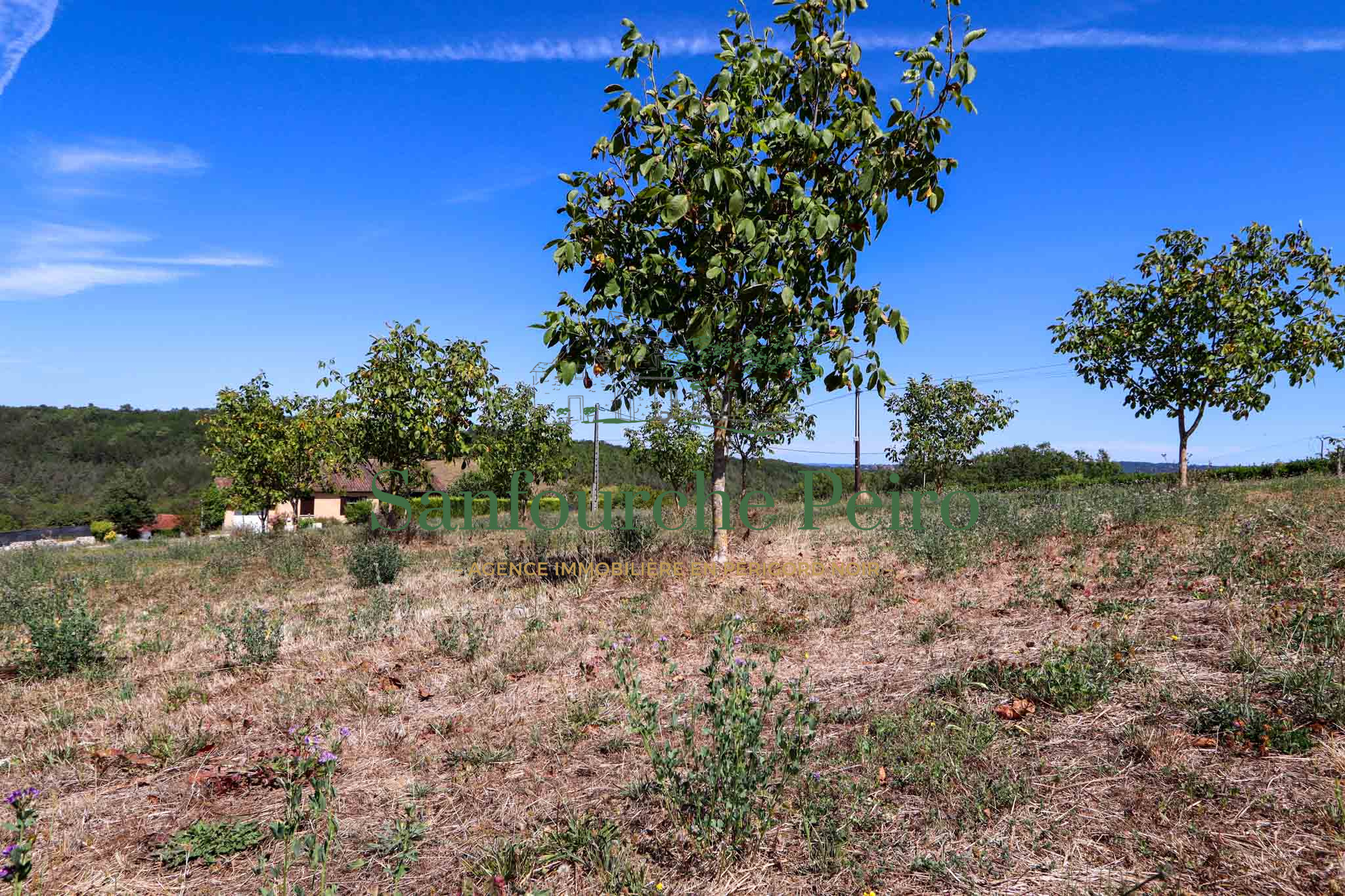 Terrain constructible à vendre à Sarlat la caneda, 3 593 m² – photo 2 sur 3