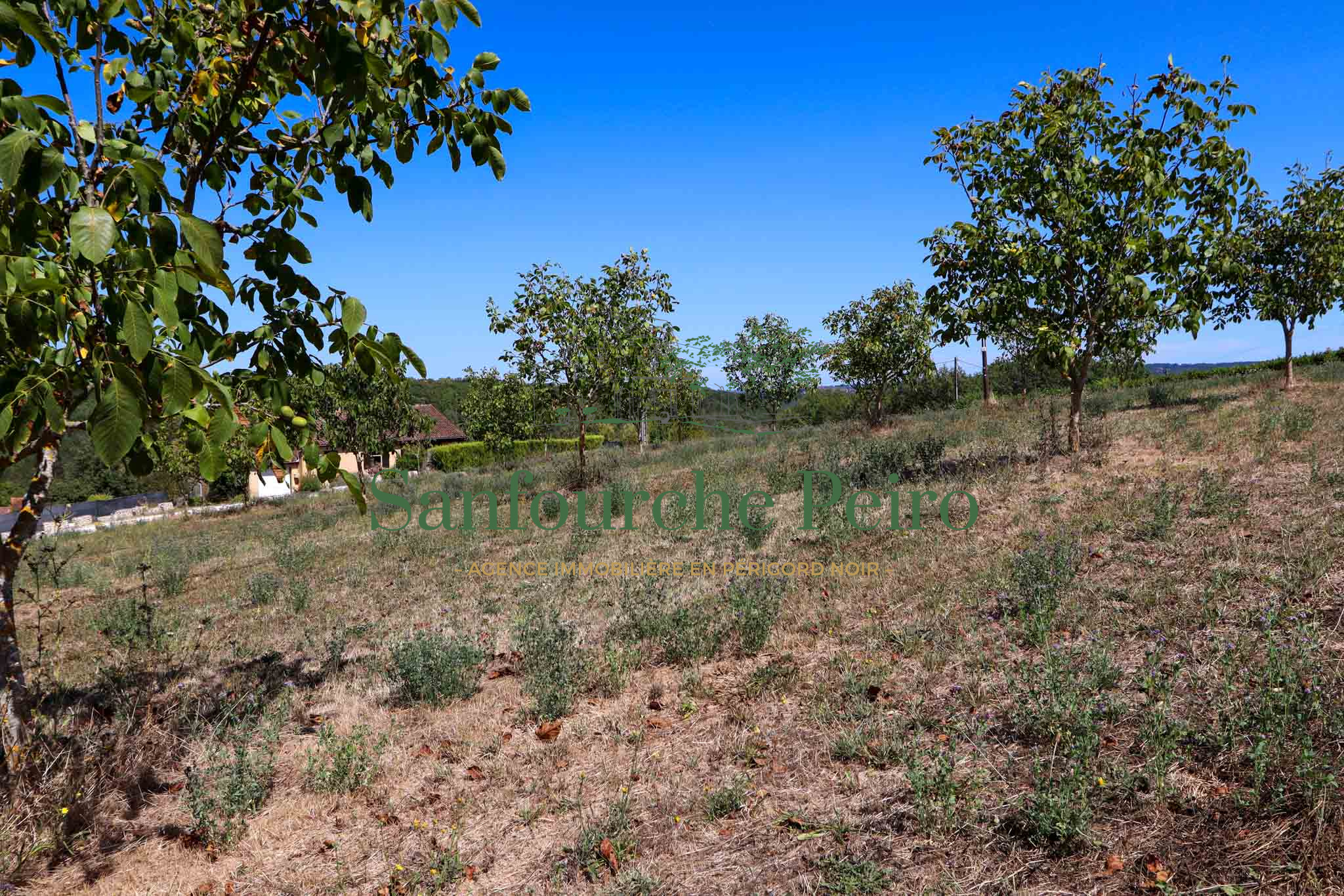 Terrain constructible à vendre à Sarlat la caneda, 3 593 m² – photo 3 sur 3